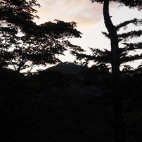 2023年7月22日（土）大台ヶ原 2 of 9