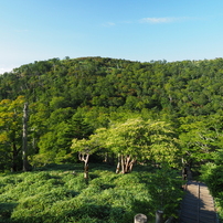 2023年7月22日（土）大台ヶ原 6 of 9