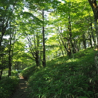 P7220220