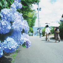 PENTAX(ペンタックス)のレンズ smc P-M 35mmF2.8 で撮影した写真(画像