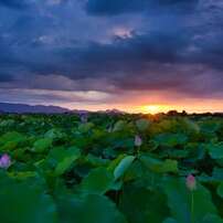 TOKINA(トキナー)のレンズ AT-X 12-28 PRO DX 12-28mm F4 [ニコン用