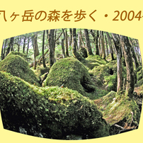 北八ヶ岳の山旅2004A