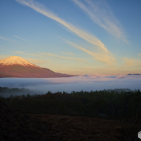 SIGMA(シグマ)のレンズ 15-30mm F3.5-4.5 EX DG ASPHERICAL [ニコン用