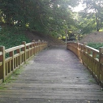 木製の陸橋の散歩（8月12日）