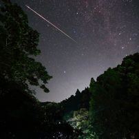 SIGMA(シグマ)のレンズ 20mm F1.8 EX DG ASPHERICAL RF [キヤノン用