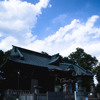 八幡宮・夏