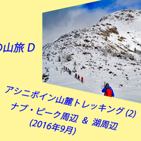 カナダの山旅 D アシニボイン山麓トレッキング(2) ：2016(1)