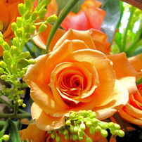 【作例有】Canon IXY digital 920 IS コンデジ 動作品 Amazon | Canon デジタルカメラ IXY DIGITAL (イクシ) 920 IS ゴールド