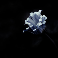 朧