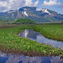 初夏の尾瀬の山旅2007B