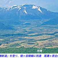 初夏の尾瀬の山旅2007(36)