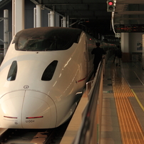 2011　帰郷