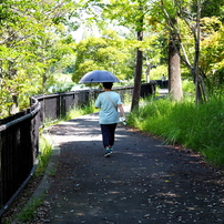 SIGMA(シグマ)のレンズ 30mm F1.4 DC DN [マイクロフォーサーズ用] で