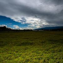 SONY(ソニー)のレンズ Vario-Sonnar T＊ 16-35mm F2.8 ZA SSM SAL1635Z