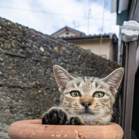 ツボにはまる