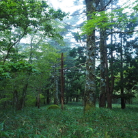 P9250021