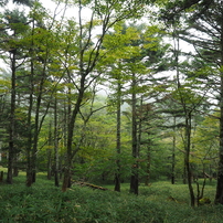 P9250095