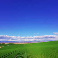 Blue & Green 2011.05 《HD版》