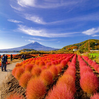 TAMRON(タムロン)のレンズ SP 15-30mm F/2.8 Di VC USD G2 (Model A041