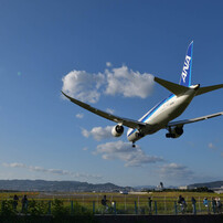 TOKINA(トキナー)のレンズ opera 16-28mm F2.8 FF [ニコン用] で撮影