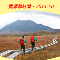 尾瀬草紅葉2015(1)