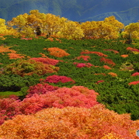 乗鞍岳の紅葉 -2