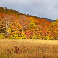 TAMRON(タムロン)のレンズ 18-270mm F/3.5-6.3 Di II VC PZD (Model B008TS) [ニコン用]  で撮影した写真(画像)一覧- 写真共有サイト:PHOTOHITO