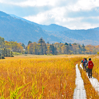 TAMRON(タムロン)のレンズ 18-270mm F/3.5-6.3 Di II VC PZD (Model