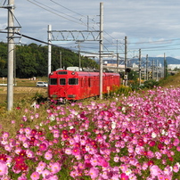 PANASONIC(パナソニック)のレンズ LUMIX G VARIO 14-45mm/F3.5-5.6