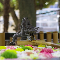 手水舎_龍_高円寺氷川神社