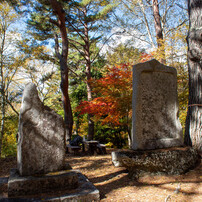 NIKON(ニコン)のレンズ Ai Nikkor 24mm F2S で撮影した写真(画像)一覧