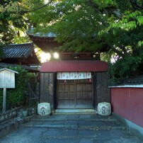 【作例あり】Kodak DC4800 Zoom Amazon.com : Kodak DC4800 3.1MP Digital Camera w/ 3x Optical