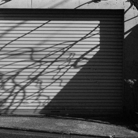 MINOLTA(ミノルタ)のフィルムカメラX-700 で撮影した写真(画像)一覧