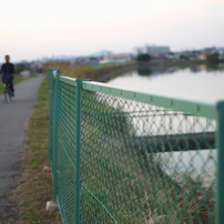 SIGMA(シグマ)のレンズ 30mm F1.4 EX DC HSM (ﾌｫｰｻｰｽﾞ用) で撮影した写真(画像)一覧-  写真共有サイト:PHOTOHITO