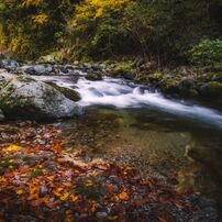 CANON(キヤノン)のレンズ EF-S10-22mm F3.5-4.5 USM で撮影した写真