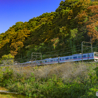CANON(キヤノン)のレンズ EF28-70mm F2.8L USM で撮影した写真(画像