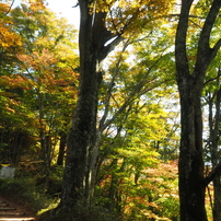 2023年11月2日（木）の金剛山 3 of 10