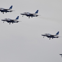 TAMRON(タムロン)のレンズ SP AF 200-500mm F/5-6.3 Di LD [IF] (Model