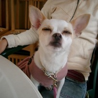 CASIO(カシオ)のデジタルカメラQV-R4 で撮影した写真(画像)一覧- 写真