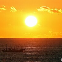 CANON(キヤノン)のデジタル一眼EOS 5D Mark II で撮影した写真(画像