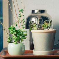 COSINA(コシナ)のレンズ フォクトレンダー MACRO APO-LANTHAR 110mm F2