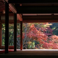 秋の散歩道(南禅寺)