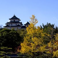 '23和歌山城の紅葉