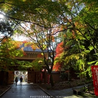 SONY(ソニー)のデジタルカメラサイバーショット DSC-HX60V で撮影した