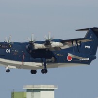 SIGMA(シグマ)のレンズ APO 100-300mm F4 EX DG HSM (ﾍﾟﾝﾀｯｸｽ AF) で