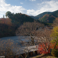 SIGMA(シグマ)のレンズ 10-20mm F3.5 EX DC HSM (ペンタックス用