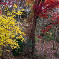 KYOCERA(京セラ)のレンズ Carl Zeiss Vario-Sonnar T* 28-80mm F3.5