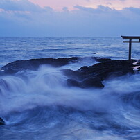 SONY(ソニー)のレンズ FE 50mm F1.8 SEL50F18F で撮影した写真(画像