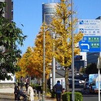 CANON(キヤノン)のデジタルカメラPowerShot S120 で撮影した写真(画像