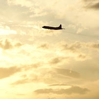 SONY(ソニー)のレンズ 75-300mm F4.5-5.6 SAL75300 で撮影した写真